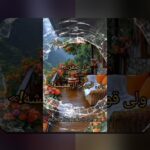 تحلیل انگیزه پس از گل: چرا این مفهوم برای کاربران ایرانی اهمیت دارد؟